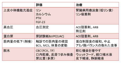 CKDの進行・予後悪化の要因の評価と治療