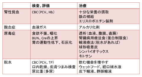 CKDでQOLを悪化させる要因の評価と治療