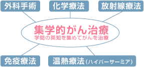 集学的がん治療について